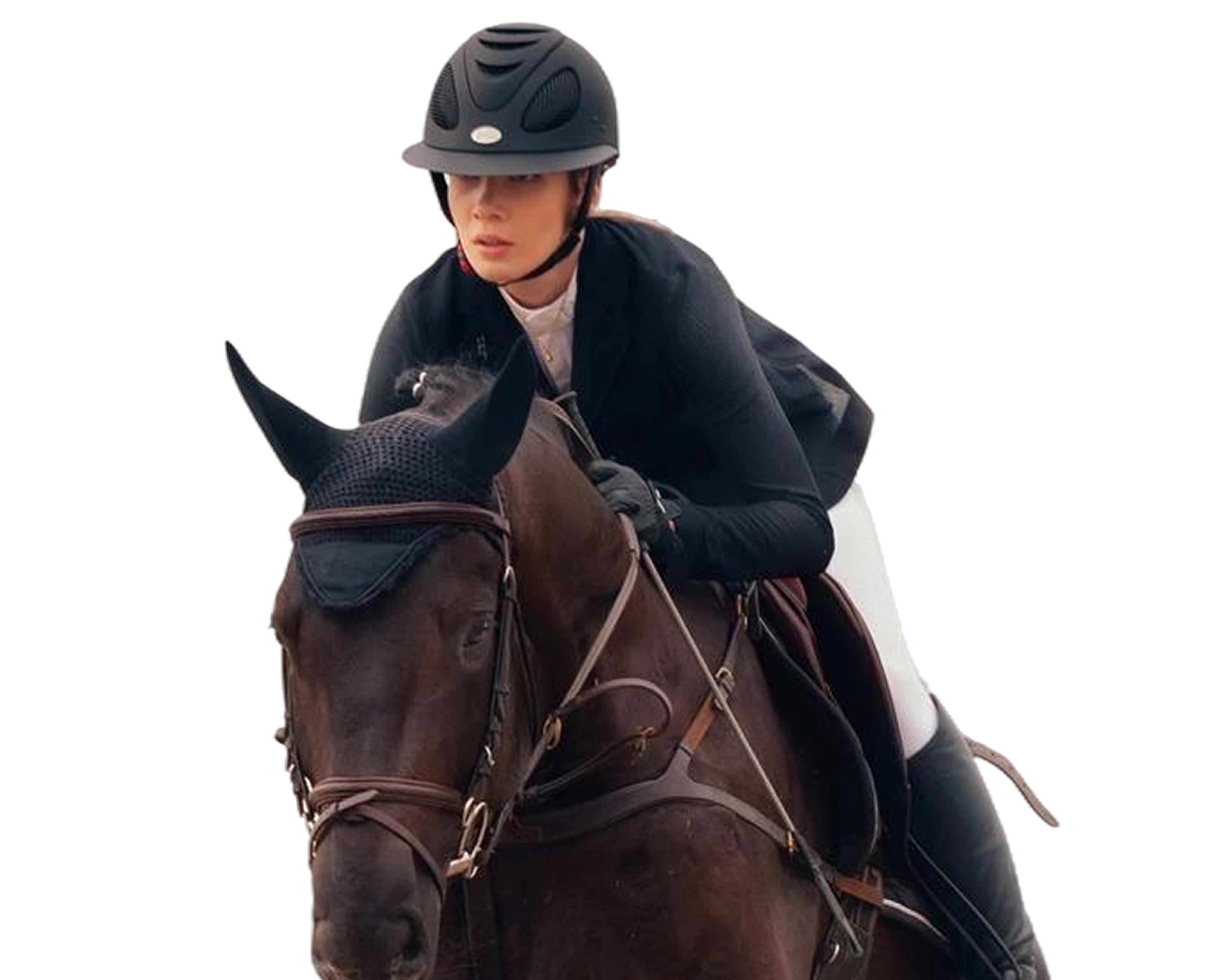 Jinete y caballo